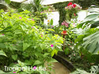 The Tropical House at the Straffan Butterfly Farm